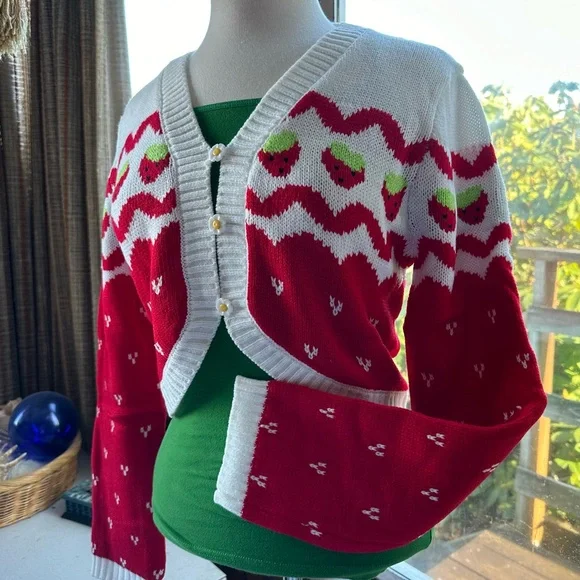 💌[ Dolls Kill ] Strawberry Shortcake Berry Charms Intarsia Cardigan Sweater - Picture 3 of 12